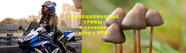 твердый Бугульма